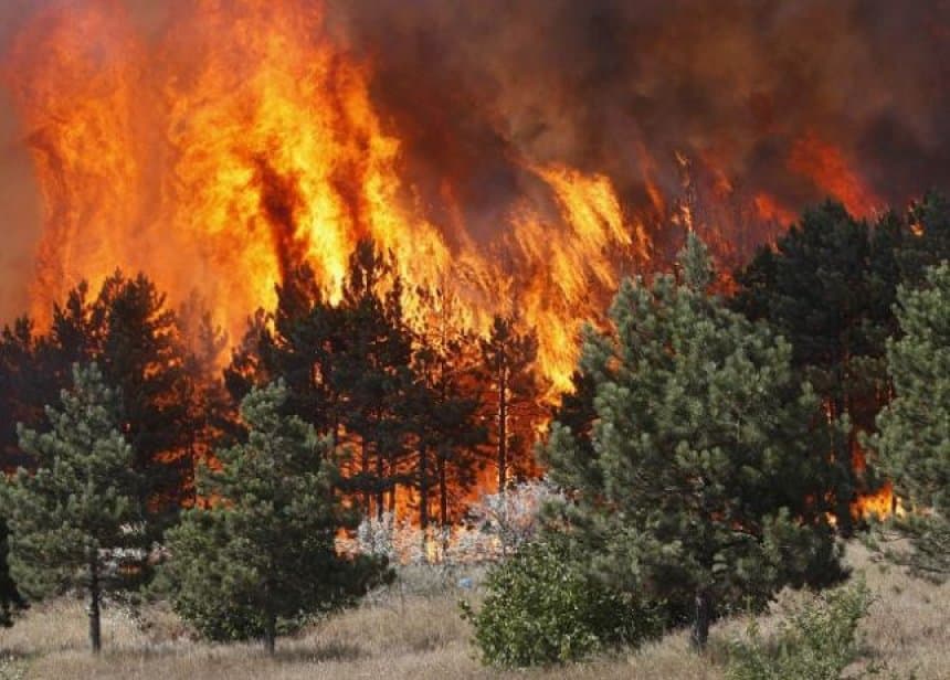 Stina e verës, 920 zjarre në Shqipëri