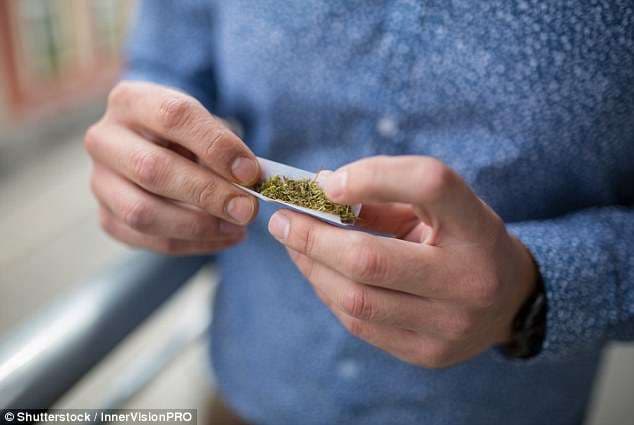 Marihuana po trajton kancerin - e provuan pacientët në SHBA
