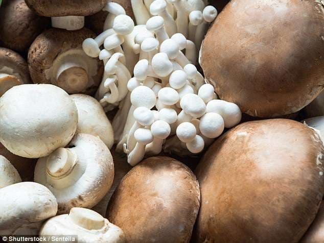 Ndihmoni shëndetin tuaj me vetëm pesë kërpudha në ditë