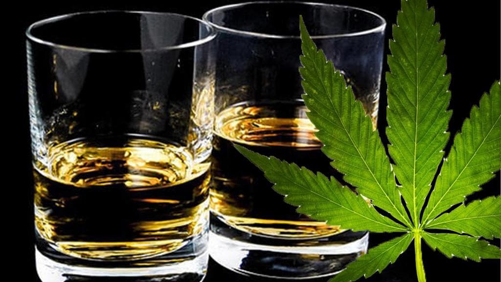 Alkooli apo kanabisi, kush është më i dëmshëm?