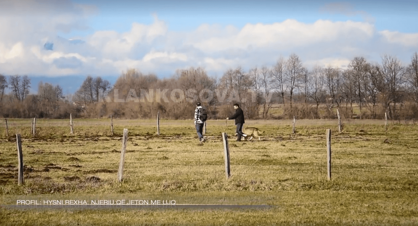 Kosovari që ia la emrin ujkut Trump (VIDEO)