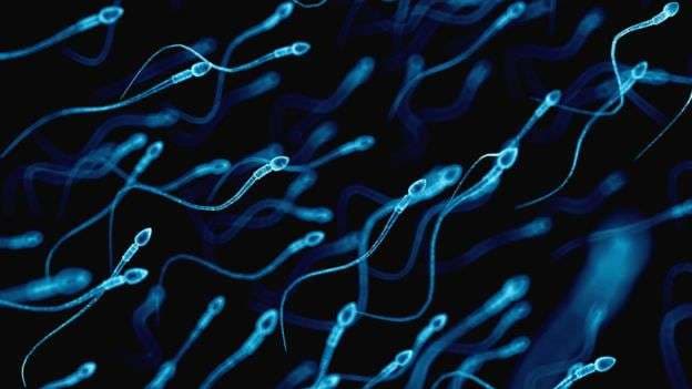 Meshkujt me sasi të ulët të spermës më të rrezikuar nga sëmundjet