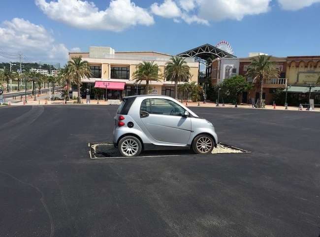 Personat që e kanë përsosur aftësinë e përtacisë së tyre (FOTO)