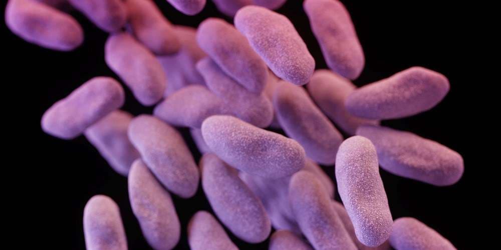Bakteret rezitente ndaj antibiotikëve po përhapen shpejtë