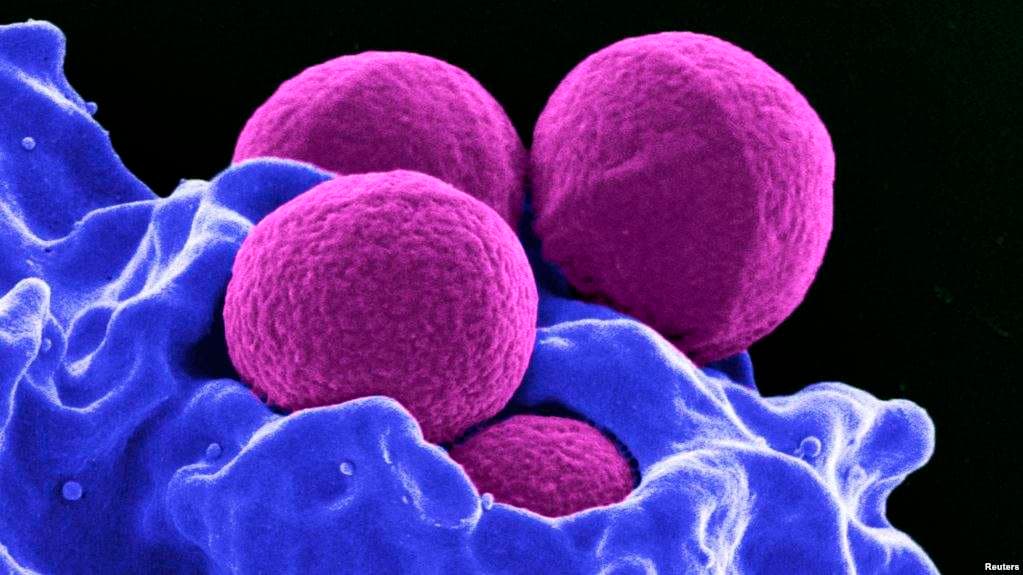 Përhapja e bakteries rezistente ndaj antibiotikëve