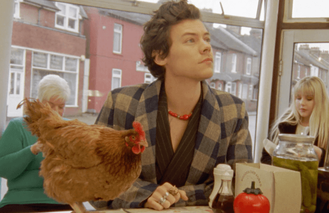 Gucci sjell koleksionin e ri me Harry Styles
