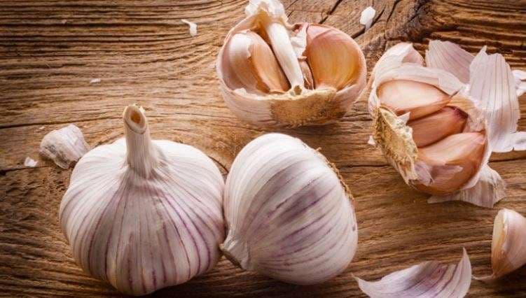 Çka thotë shkenca për hudhrën?
