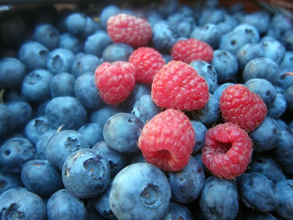 Frutat e pyllit, lidhja e tyre me shëndetin