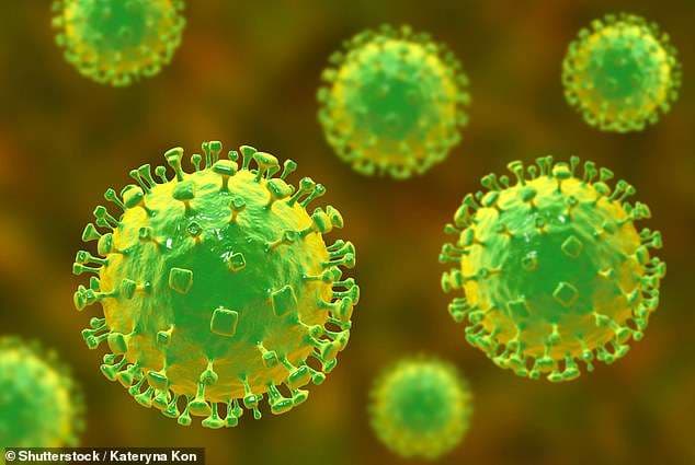 Krijohet vaksinë që mbron nga virusi vdekjeprurës Nipah