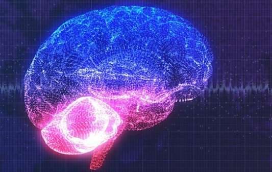 Shkencëtarët krijojnë implant të trurit që lexon mendjet e njerëzve