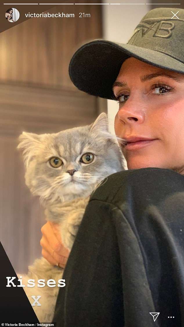 Një mace e re në familjen Beckham, Victoria dhe Harper në dashuri me të (FOTO)