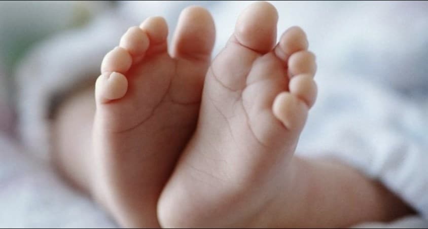 Ora e parë e vitit 2026-të, lindin trenjakë në Kosovë