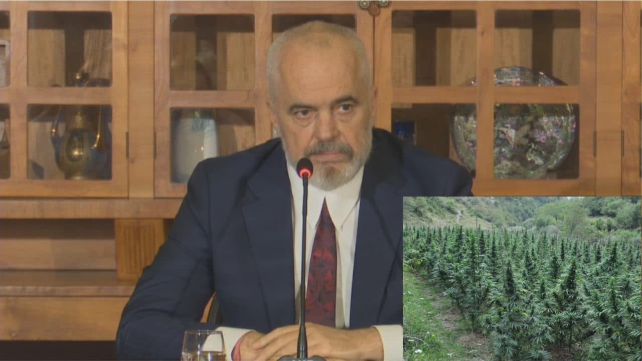 Kryeministri Rama: Do të legalizojmë kanabisin për qëllime mjekësore