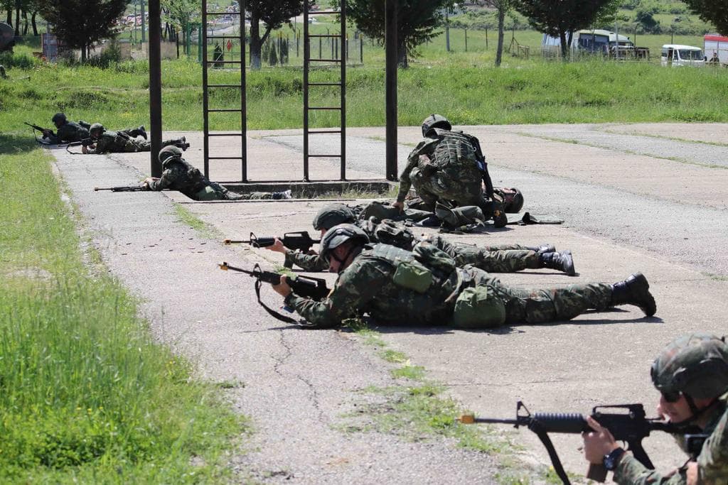 Ushtria shqiptare tregon forcën në sytë e ministrit Peleshi