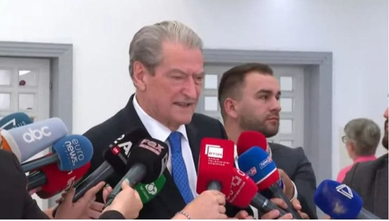 Zgjedhjet për kreun e PD, Berisha: Proces historik, paralel me procesin mafioz për presidentin e ri