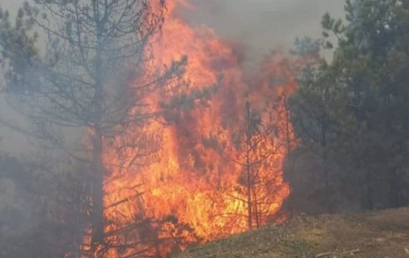 Përfshihet nga zjarri një fshat i tërë në Mirditë (VIDEO)
