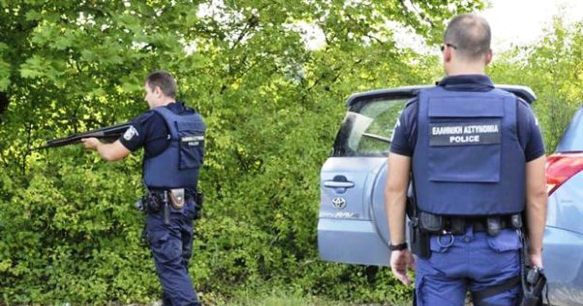 Shqiptarët mbjellin malet greke me hashash, policia shkatërron plantacionet