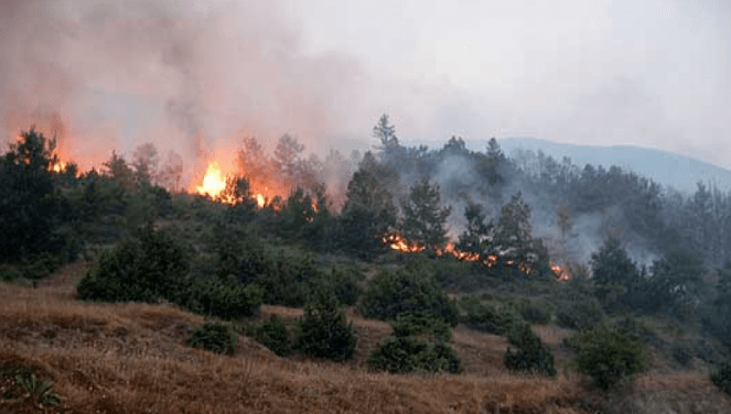 Qindra hektarë tokë përfshihen nga zjarri në Klos, vështirësohet ndërhyrja për shuarjen e tij