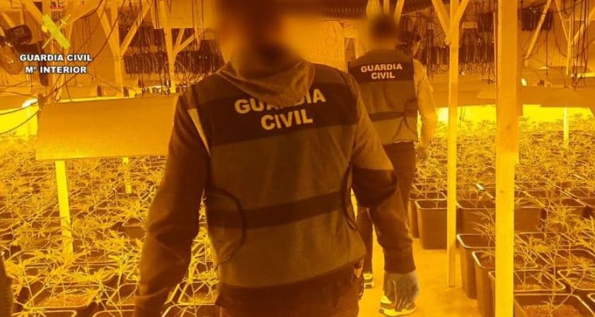 Spanjë: Shkatërrohet banda shqiptare e marihuanës