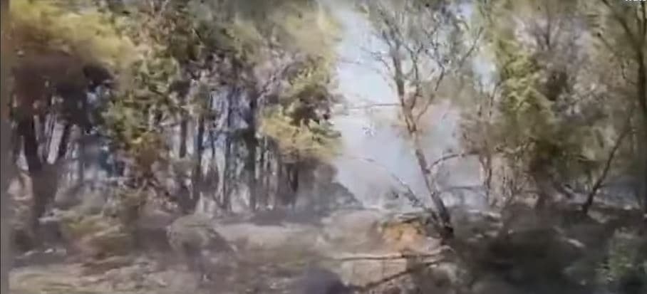 Përkeqësohet situata në pyllin e Peshtanit në Shqipëri, përdoret helikopteri në ndihmë të zjarrfikësve