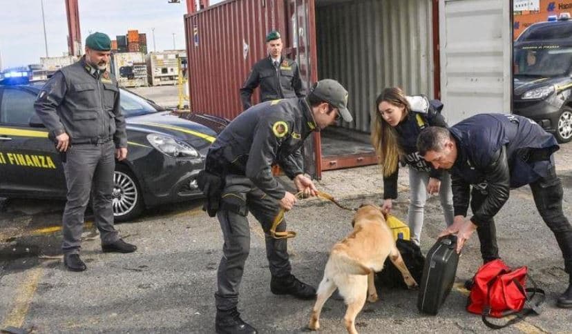 Kapet duke transportuar 50 kg kokainë mes karkalecave, arrestohet shqiptari në Itali