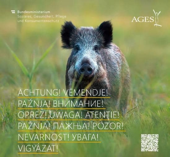 Austria ndalon importimin e mishit të derrit nga vendet jo anëtare të BE-së