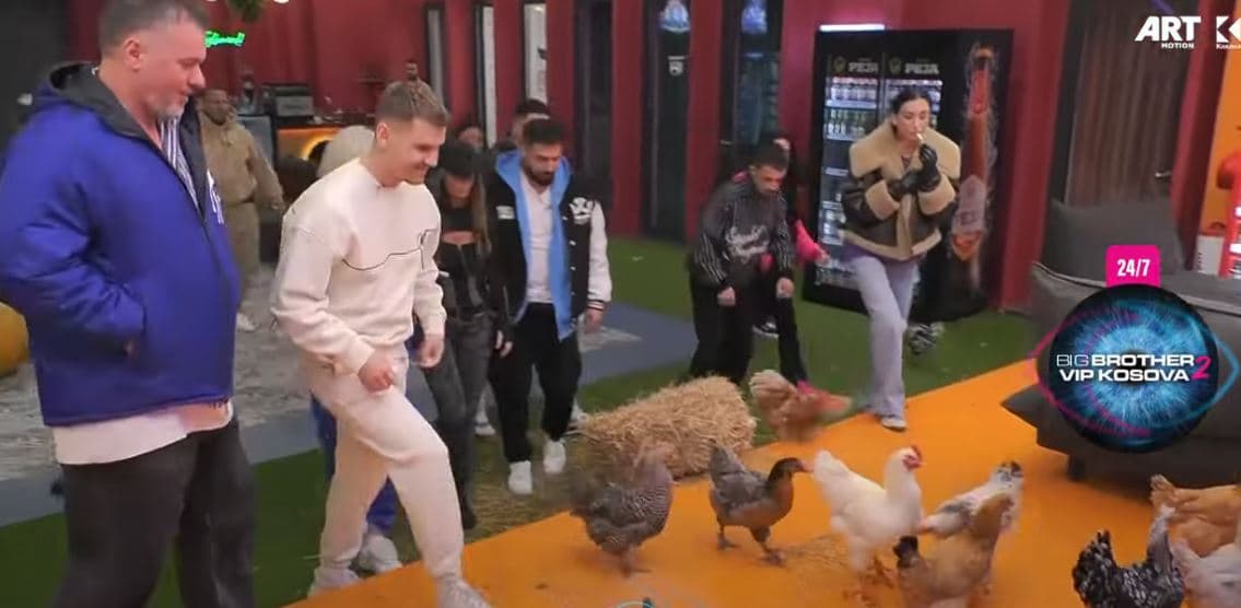 Momenti kur banorët fillojnë t'i kapin pulat gjatë realizimit të sfidës së buxhetit (VIDEO)