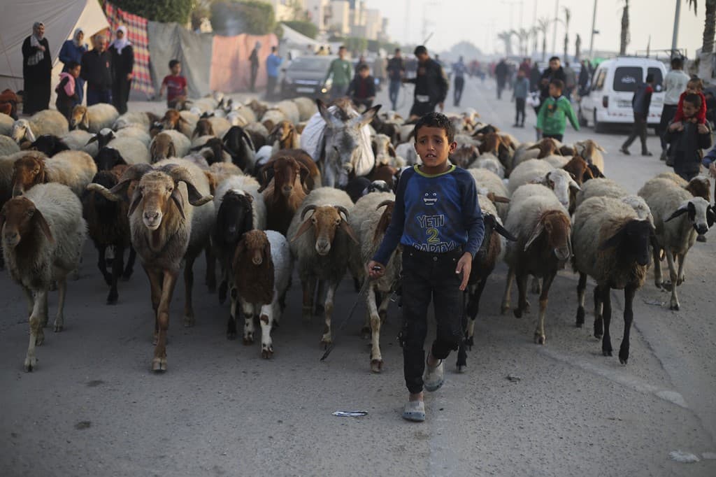 Civilët palestinezë braktisin shtëpitë teksa sulmet ajrore vazhdojnë (FOTO)