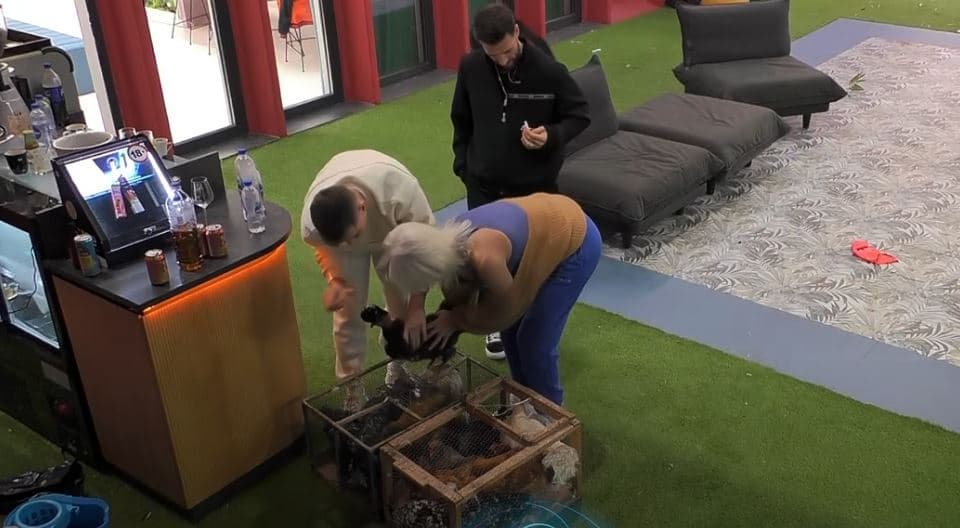 Banorët i kthejnë pulat në kafaz pas realizimit të sfidës së buxhetit (VIDEO)