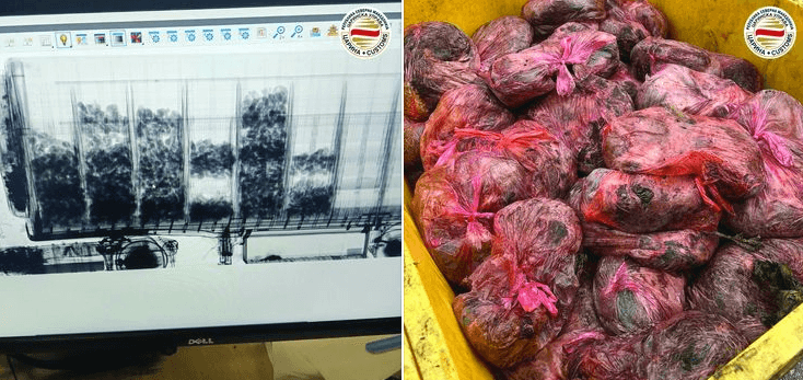 Maqedoni e Veriut: Dogana parandalon kontrabandë të 4.4 tonë mish gjahu