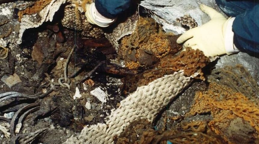 Një adoleshente u gjet e varrosur në një bodrum në Nju Jork, mësohet identiteti i saj dy dekada më vonë