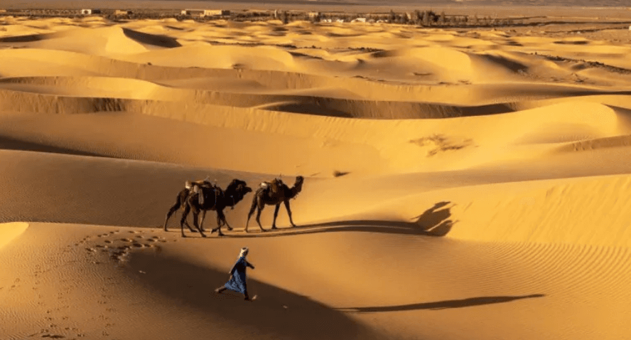 Rrëmbehet një austriake nga sulmues të panjohur në Niger