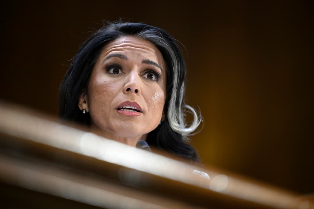 Tulsi Gabbard konfirmohet si drejtoreshë e Inteligjencës Kombëtare