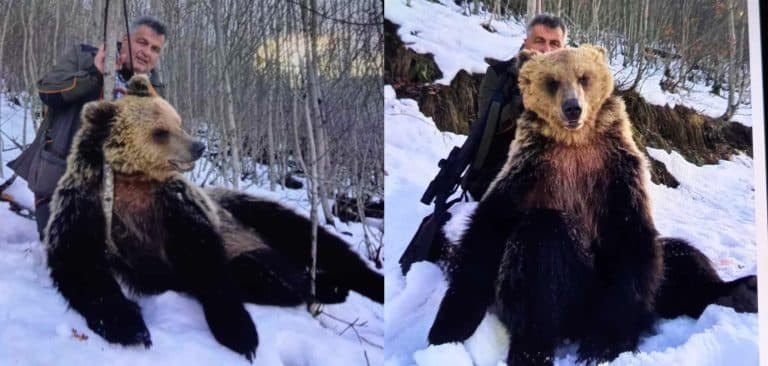 U fotografua me ariun e vrarë, shkarkohet nga pozita zyrtari maqedonas