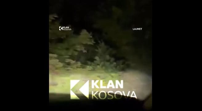 Pamje nga intervenimi i shoqatës kërkim-shpëtim në një zonë malore për një qytetare serbe (VIDEO)