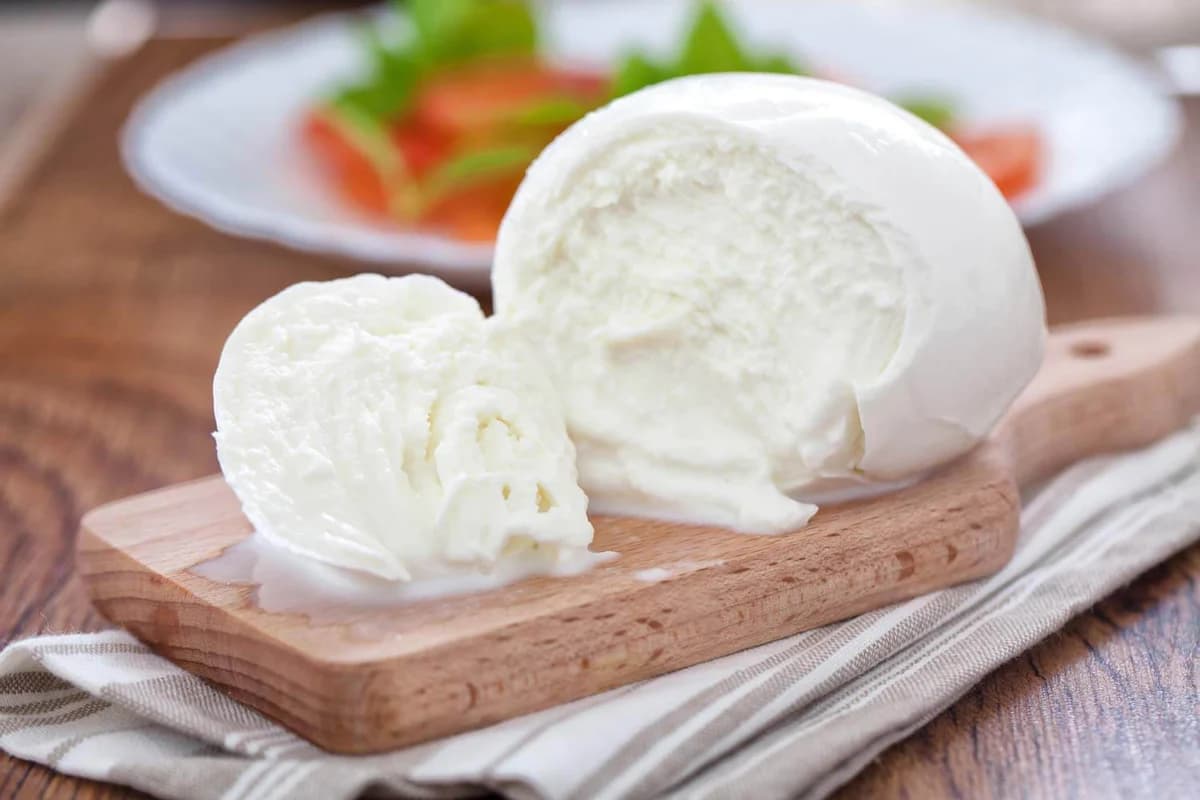 AUV izolon 15 kilogramë djathë mozzarella