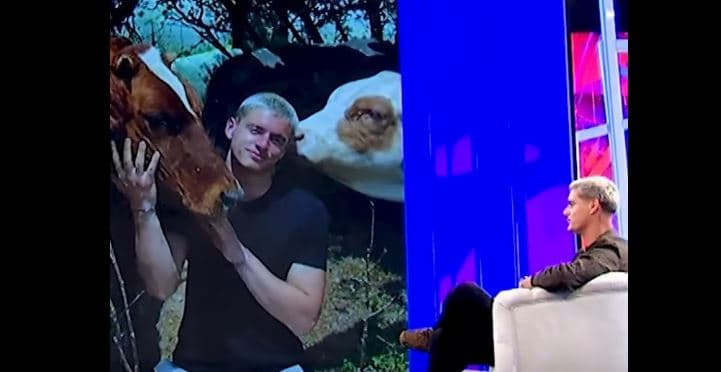 “Lopt janë shumë t’meçme, ma njohin zanin”, Londrimi befason me rrëfimin për lopët e tij (VIDEO)