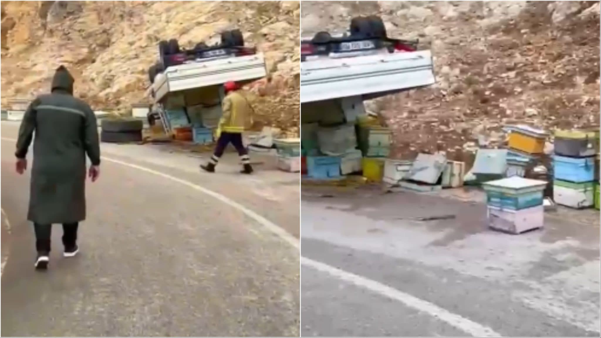 Mallakastër: Kamioni me koshere del nga rruga dhe përmbyset, bletët shpërndahen në zonë
