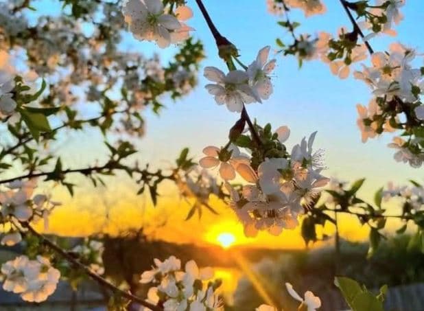 Java nis me temperatura të larta – parashikimi i motit për sot