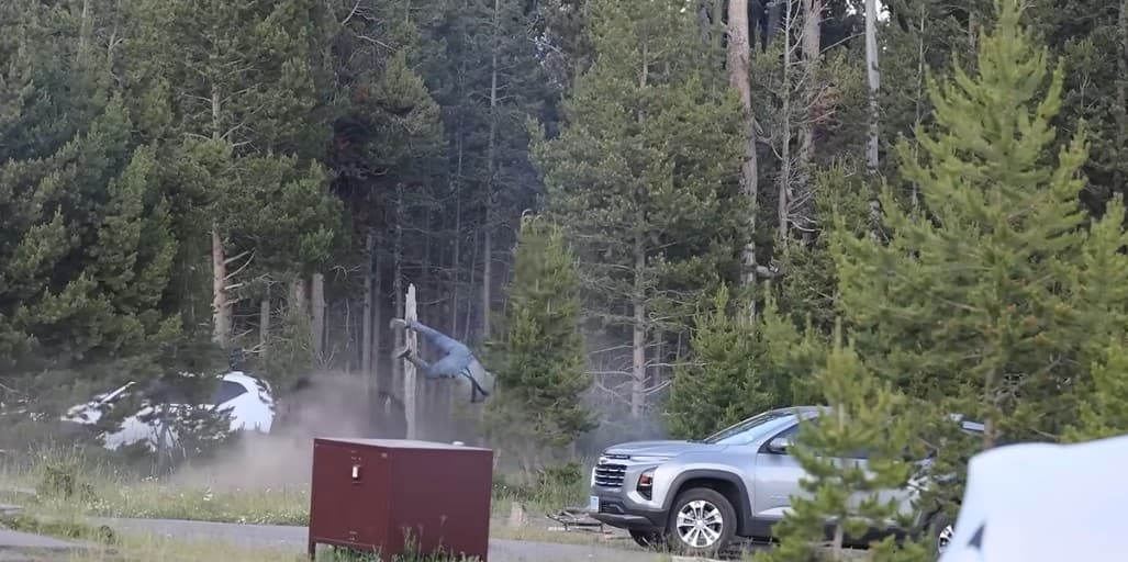 Momente tmerri në Yellowstone: Bizoni sulmon turistin dhe e hedh mbi dy metra në ajër (VIDEO)
